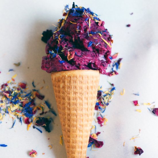 Wild Blueberry Lemon Nice Cream