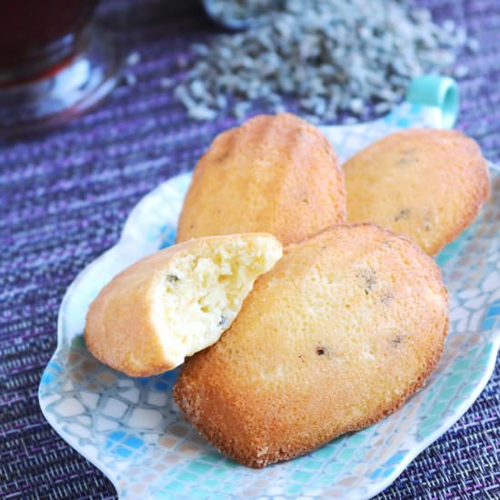 Lemon Lavender Madeleines