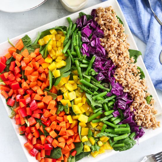 Rainbow Farro Salad