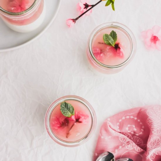 Sakura Cherry Blossom Panna Cotta