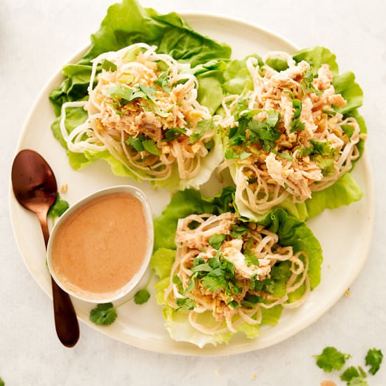 Hoisin Peanut Chicken Lettuce Wraps