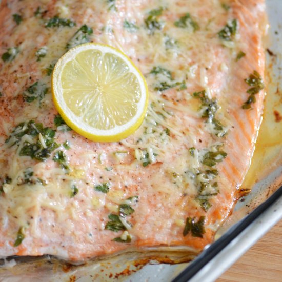 Parmesan Steelhead Trout