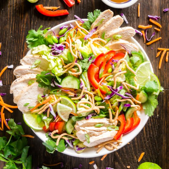 Rainbow Asian Chicken Salad