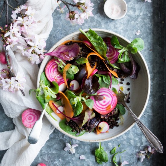 Vegan lentil salad with roasted veg