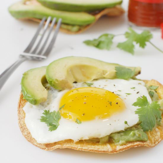 Avocado Breakfast Tostadas