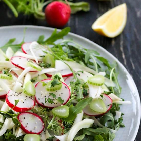 Radish and Fennel Salad