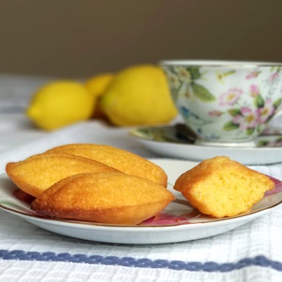 Gluten Free Madeleines