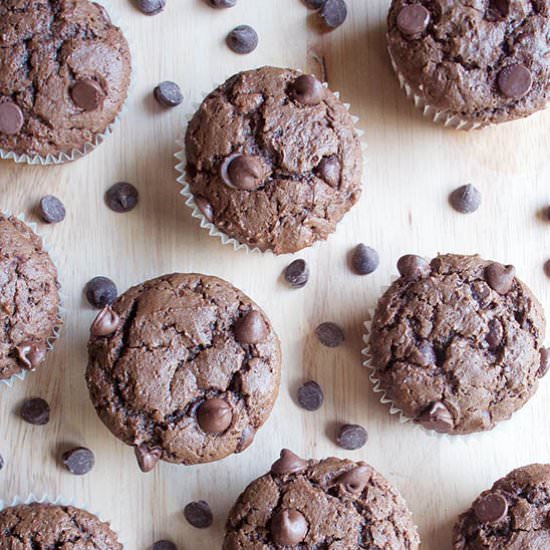 Chocolate Muffins