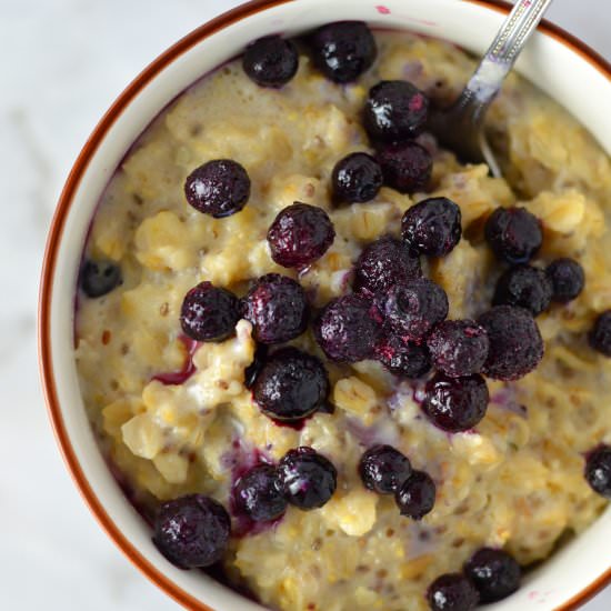 Blueberry Apple Holy Crap Oatmeal