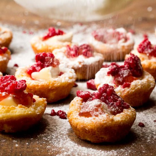 Brie Appetizer Bites with Raspberry