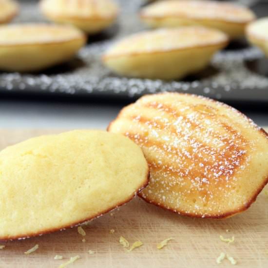 Lemon Coconut Madeleines