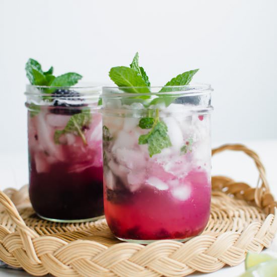 Blackberry Lime Spritzer