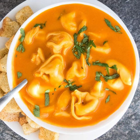 Tomato Tortellini Soup