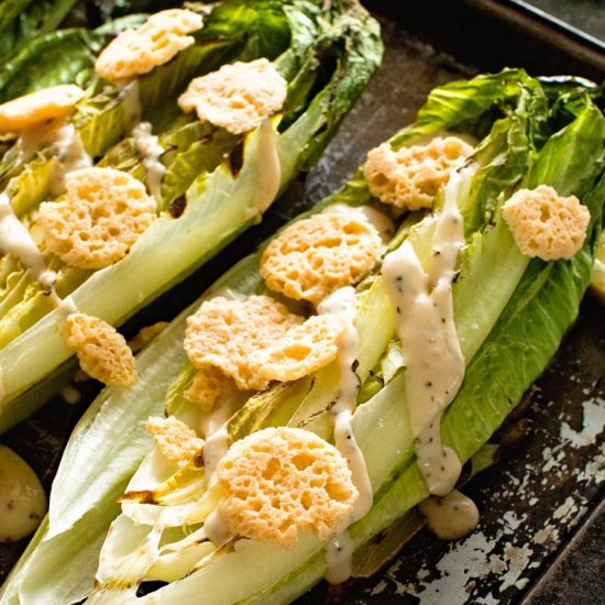 Grilled Caesar Salad