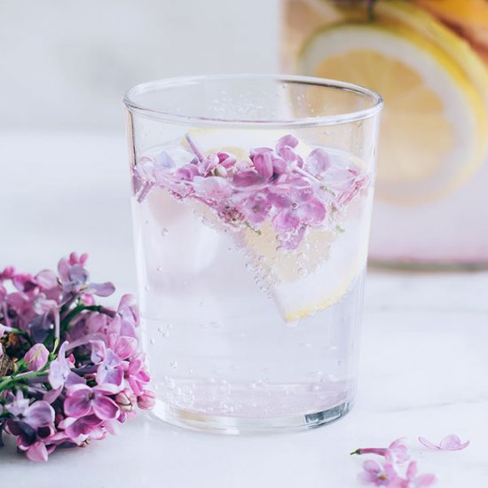 Lilac, Ginger and Citrus Cordial