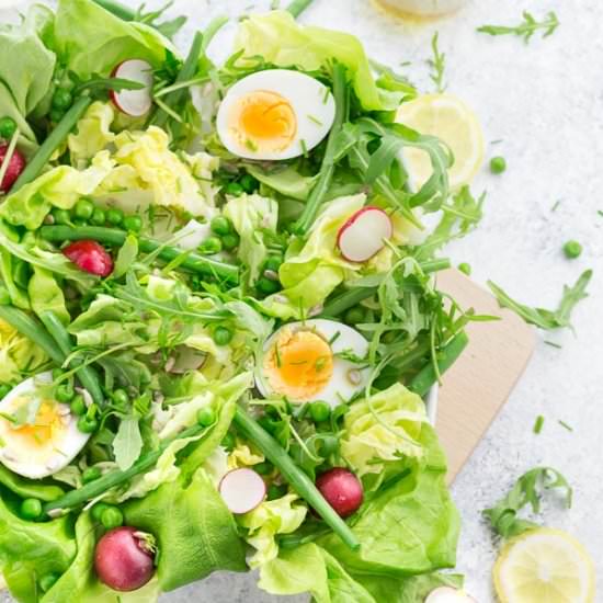 Spring Salad with Lemon Vinaigrette