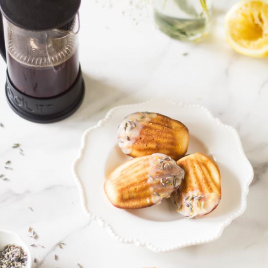 Lemon Lavender Madeleines