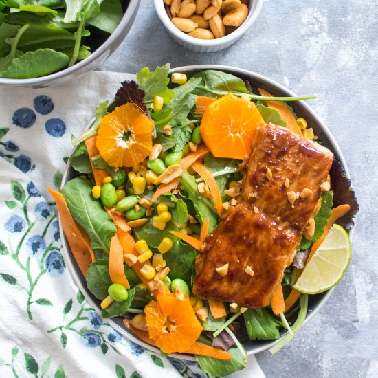 Easy Hoisin Glazed Salmon Meal Prep