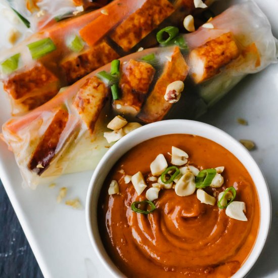 Tofu Spring Rolls w/ Peanut Sauce