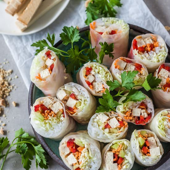 Vegan Tofu Spring Rolls