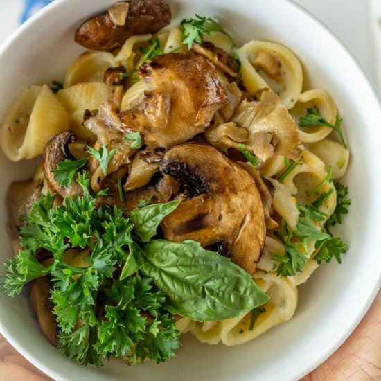 Vegan Creamy mushroom pasta