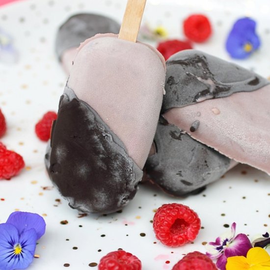 Vegan Ice Cream Pops