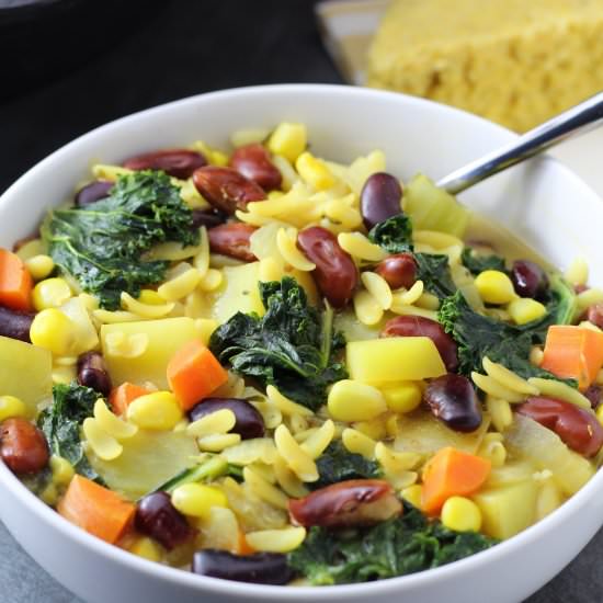 Rainbow Lemon Orzo Vegetable Soup