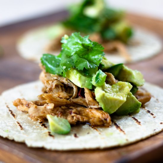 Beer Braised Chicken Tacos