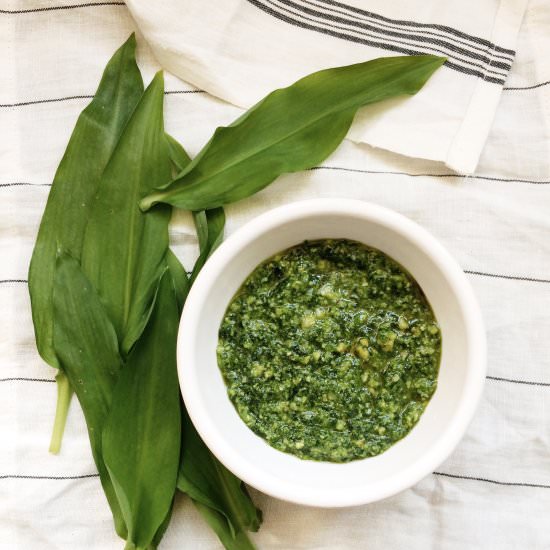 Wild Garlic Pesto