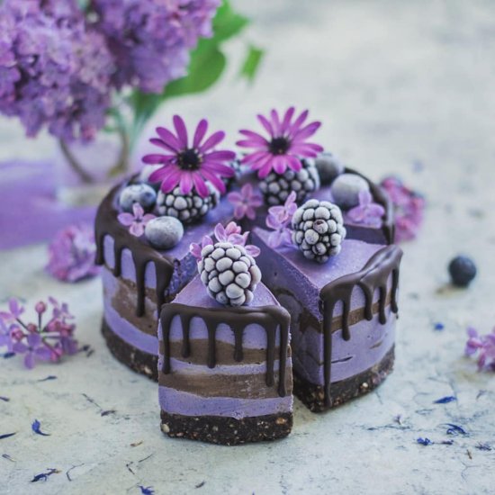 Maqui berry & chocolate cheesecake