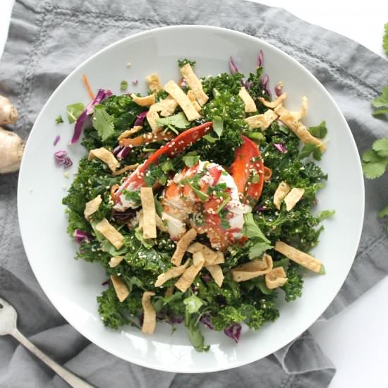 Asian Kale Salad with Lobster