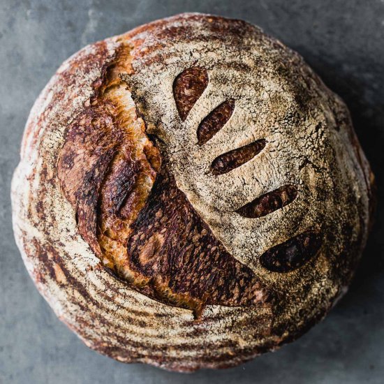 Whole Wheat Sourdough Bread