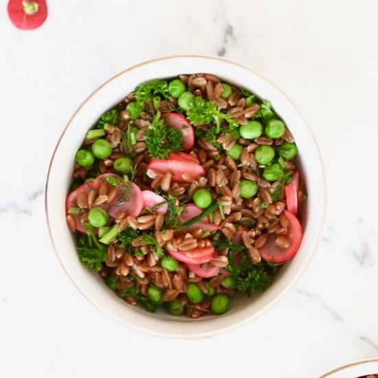 Herbed Spelt Berry Salad