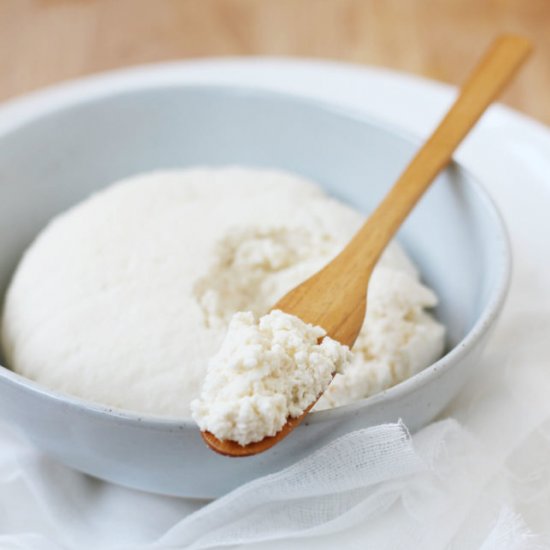 How to Make Homemade Ricotta Cheese