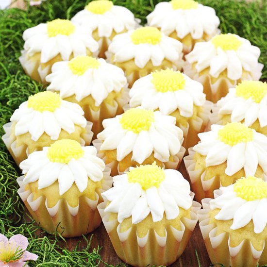 Daisy Vanilla Cupcakes