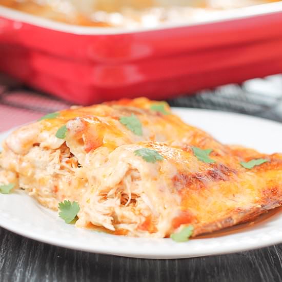 Spicy Sour Cream Chicken Enchiladas