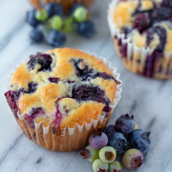 Greek Yogurt Blueberry Muffins