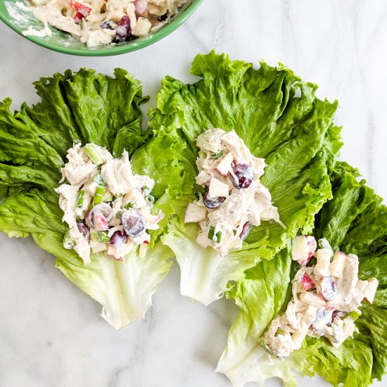 Greek Yogurt Chicken Salad