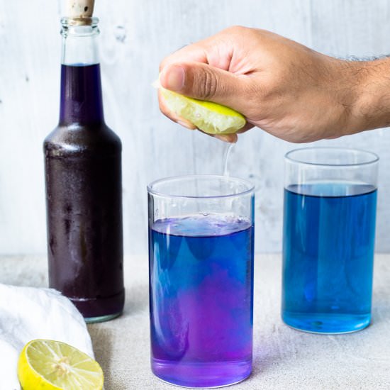 Butterfly Pea Flower Tea