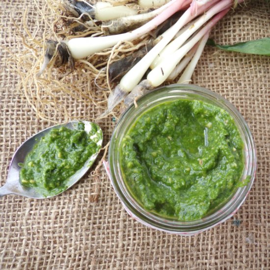 Wild Ramp Pesto