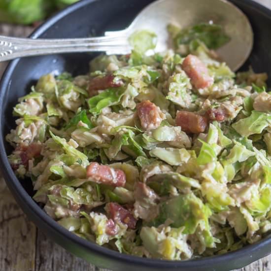 Shredded Brussel Sprout Salad