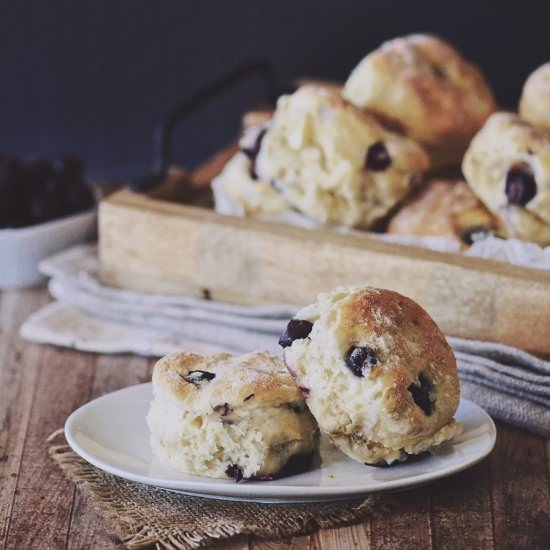 Blueberry & White Choc Scones