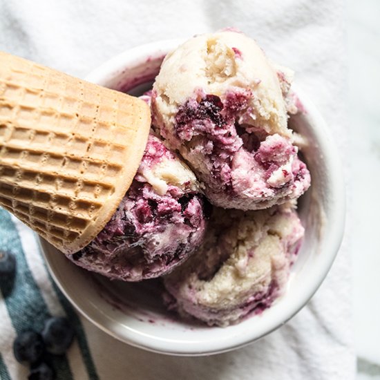 Lemon Blueberry Frozen Yogurt