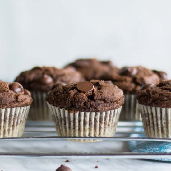 Healthy Double Chocolate Muffins