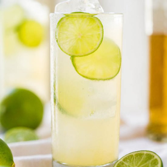 The Best Homemade Margaritas