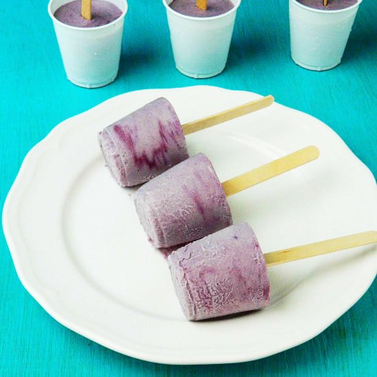 Blueberry Popsicle