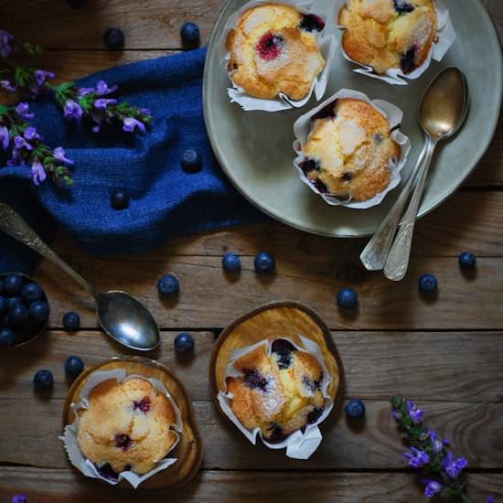 Blueberry Muffins