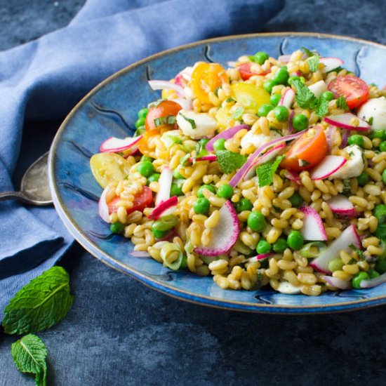 Ancient Grains Salad