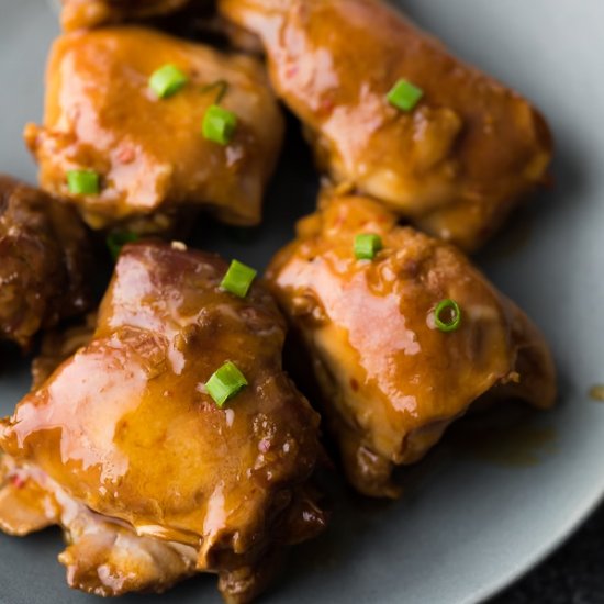 Slow Cooker Honey Garlic Chicken