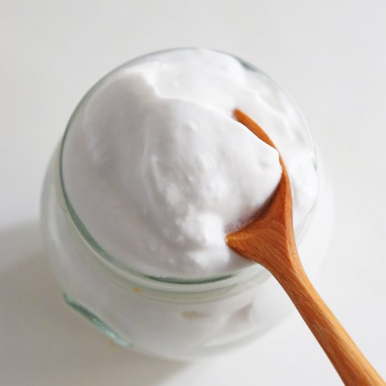 Easy 2-ingredient coconut yogurt